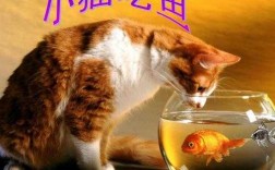 猫吃鱼的过程（猫吃鱼的过程怎么写）