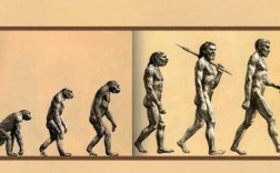 原始人类的变化过程（原始人类的发展）