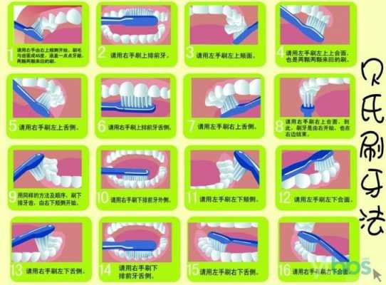 正确刷牙全过程（正确刷牙全过程图片）-图3