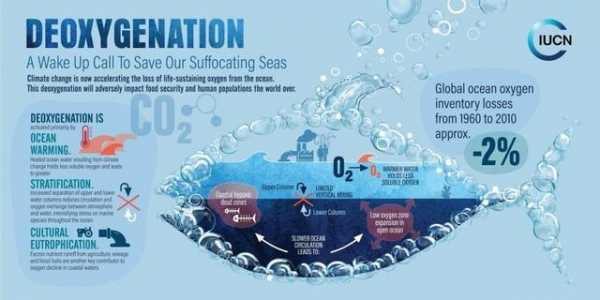 海水硝化过程（海水硝化过程视频）-图1