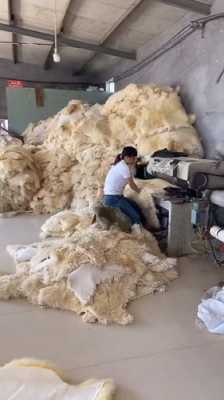 羊皮加工过程（羊皮加工过程视频教程）-图1