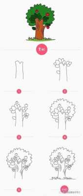 一棵树的生长过程（一棵树的生长过程简笔画）-图1