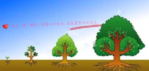 一棵树的生长过程（一棵树的生长过程简笔画）-图3