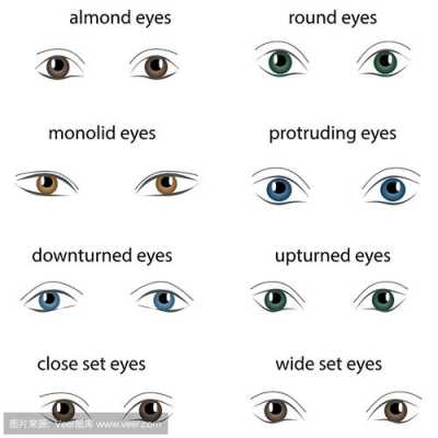 看眼睛有哪些过程（看眼睛类型）-图2