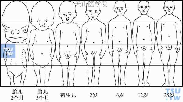 男孩发育的过程（男孩的发育期一般在多少岁）-图2
