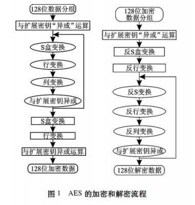 AES的子密钥生成过程（简述aes的加密和解密过程）-图3