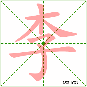 李的演变过程（李的演变过程动图）-图3