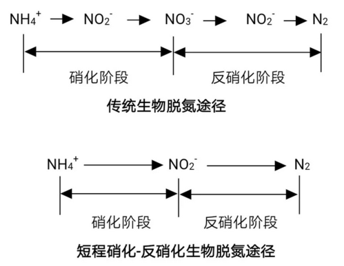 反硝化的基本过程（反硝化的基本过程是什么）-图1