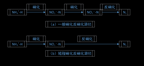 反硝化的基本过程（反硝化的基本过程是什么）-图2