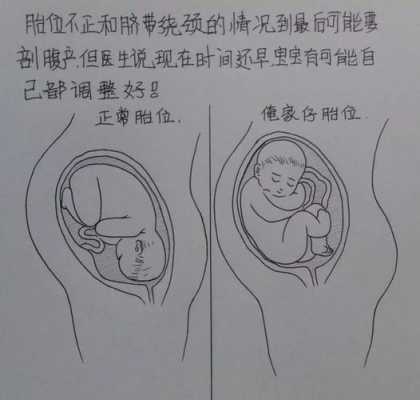 十月怀胎过程（十月怀胎过程简笔画）-图1