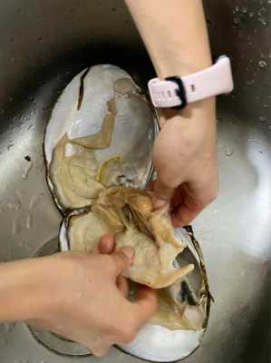 剥珍珠蚌过程（取珍珠蚌）-图2
