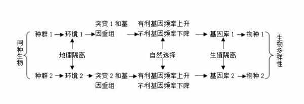 骤变式物种形成过程（骤变与剧变）-图2