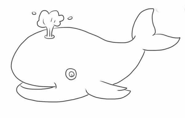 鲸鱼的生长过程（鲸鱼的生长过程简笔画）-图2