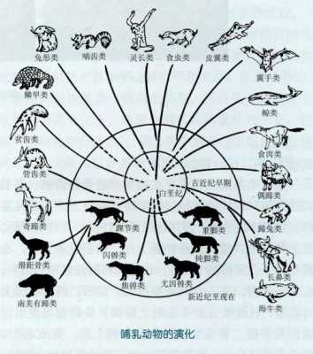 动物的演变过程（动物的演变过程应该怎么写）-图2
