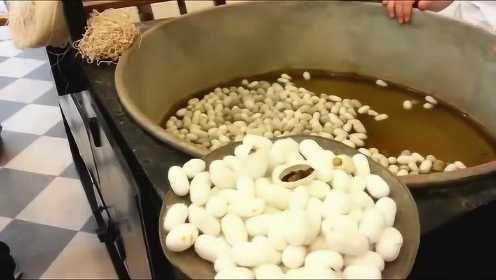 煮蚕茧过程视频（煮蚕茧过程视频播放）-图3