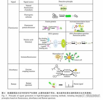 筛选产脲酶过程时（筛选产酶菌）-图3