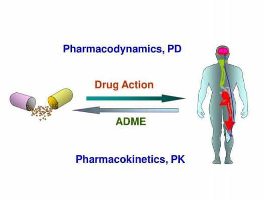 试述药物ADME过程（药物adr是指在以下情况下产生的反应）-图1