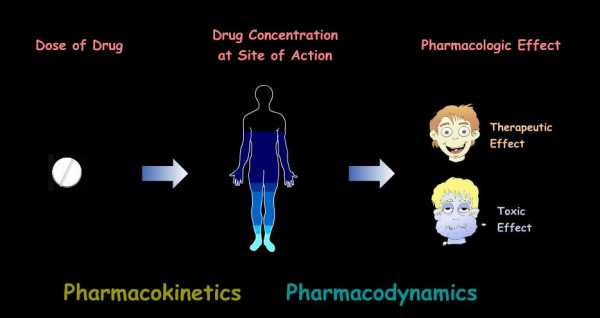 试述药物ADME过程（药物adr是指在以下情况下产生的反应）-图3