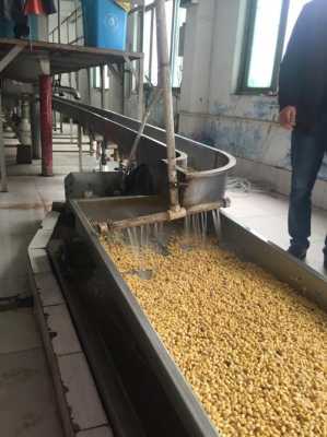 大豆的加工过程（大豆的加工过程视频）-图2