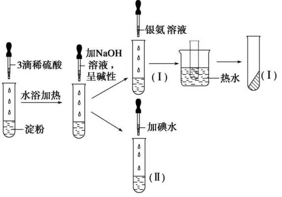 淀粉水解的过程（淀粉水解的过程图）-图3