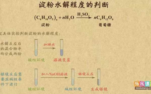 淀粉水解的过程（淀粉水解的过程图）-图1