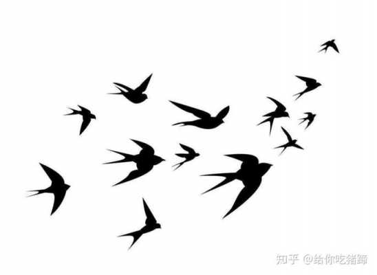 燕子学飞过程（燕子的飞行技术）-图1