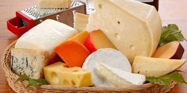 奶酪的发酵过程（奶酪的发酵过程以及用到的菌种）-图2