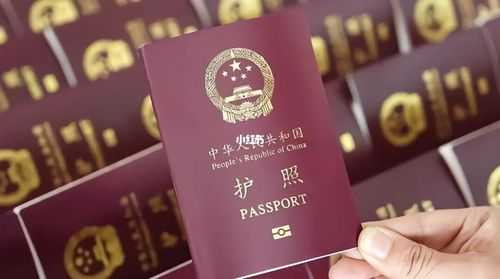 办护照过程（办护照过程要多久）-图1