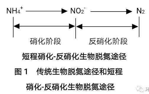 生物硝化反应过程（生物硝化反应机理）-图1