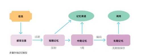 记忆的三个基本过程（记忆的过程包括哪三个基本环节）-图2