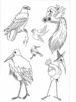 鸟进化过程简笔画（鸟进化过程简笔画图片）-图3