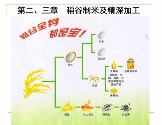 稻谷变成米的过程（稻谷变成米的过程作文）-图1