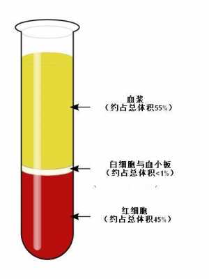 血液制造过程（血液的制作方法）-图3