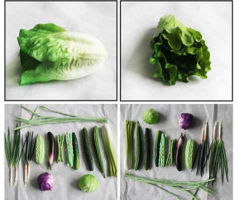蔬菜模型制作过程（蔬菜模型的制作过程）-图2