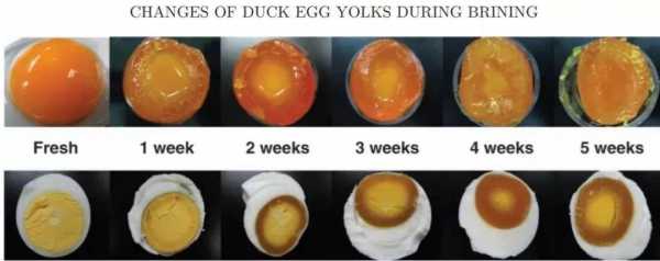 鸭蛋孵化过程记录表（鸭蛋孵化要多长时间）-图3