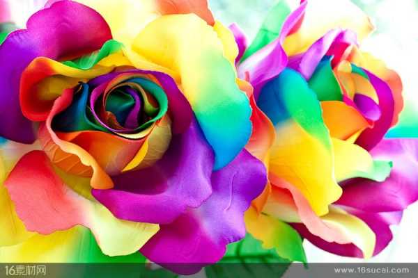 彩色花朵的实验过程（彩色花朵的实验过程图片）-图3
