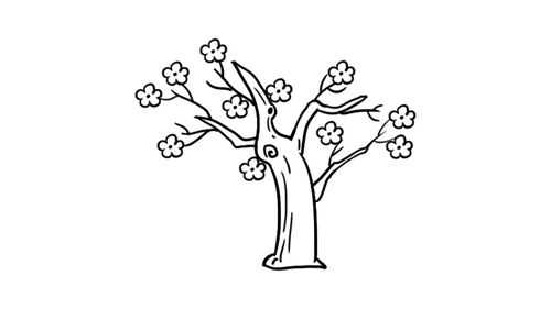 关于桃树开花的过程（桃树开花的过程简笔画）-图2