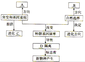 概念的形成的过程（概念的形成的过程包括）-图1