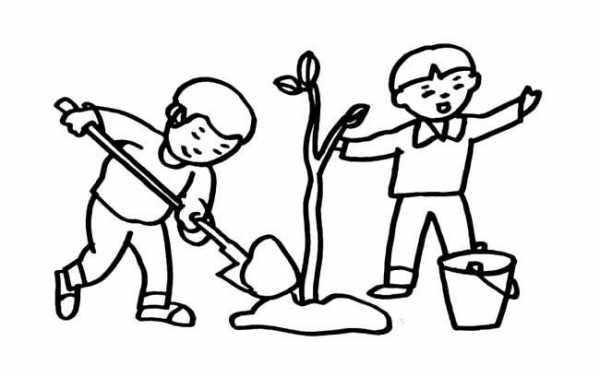小孩植树的过程（孩子们植树的简笔画）-图2