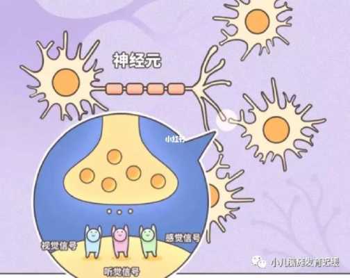 儿童生长过程（儿童生长过程中神经细胞会变多吗?）-图3