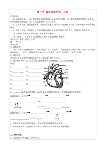 心脏注水实验过程（心脏注水实验过程总结）-图2