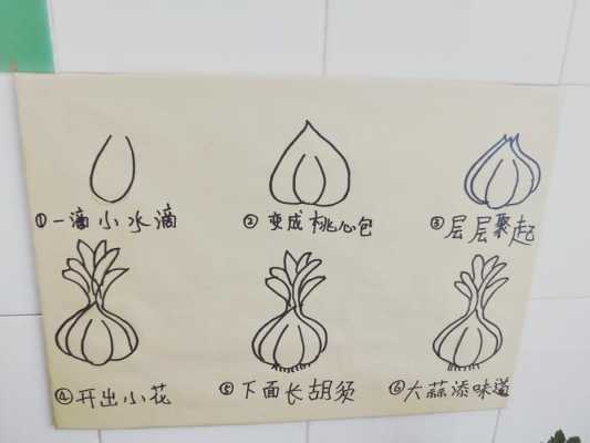 蒜头的生长过程（蒜头的生长过程图画）-图2