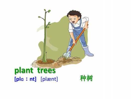种树活动的过程（种树活动过程英语）-图1