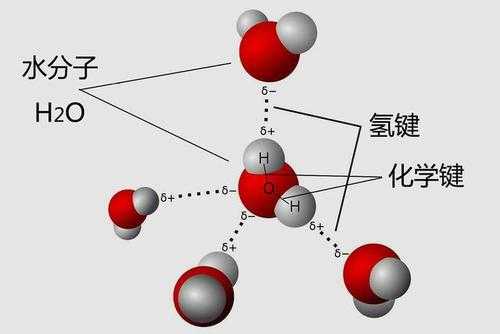氢键的形成过程动画（氢键的形成过程动画视频）-图3