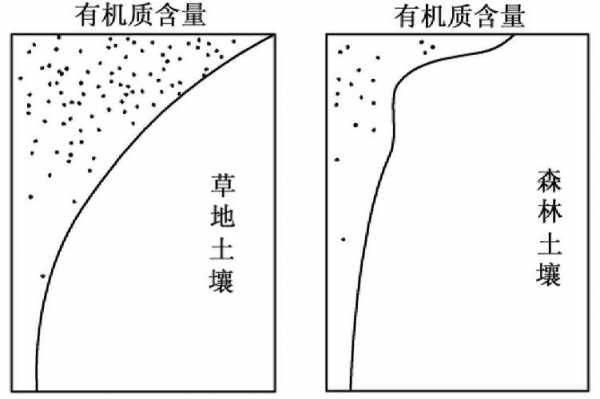 成土过程观测（成土过程分析）-图2