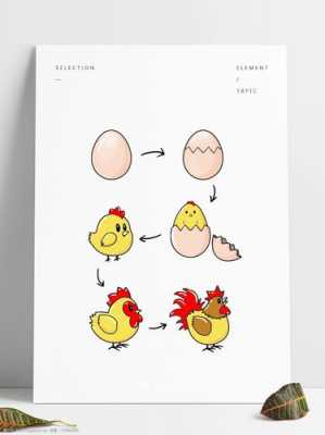 小鸡生长过程简笔画（小鸡的生长过程简笔画）-图2