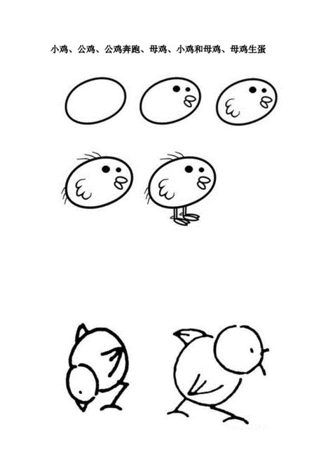 小鸡生长过程简笔画（小鸡的生长过程简笔画）-图3