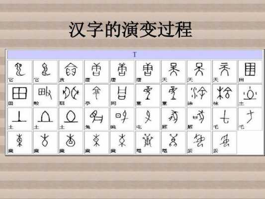 汉字文的演变过程（汉字文字的演变过程）-图2