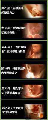 怀孕过程影片（怀孕过程记录视频）-图2