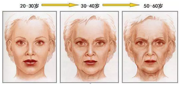 人脸衰老的过程（人体面部衰老的过程）-图1